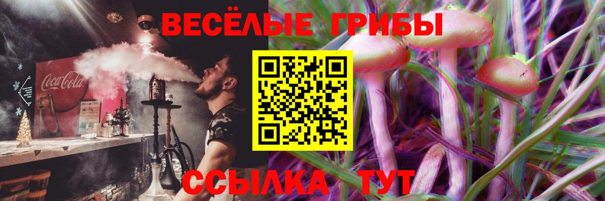 Галлюциногенные грибы Psilocybine cubensis  Вход с VPN  Галлюциногенные грибы прущие грибы  Ревда 